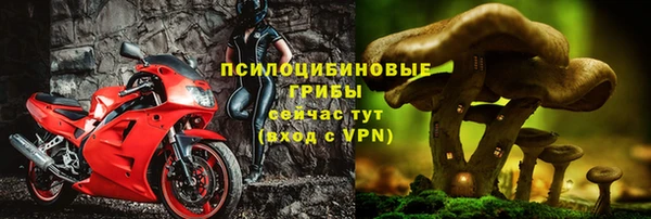 Альфа ПВП Балабаново